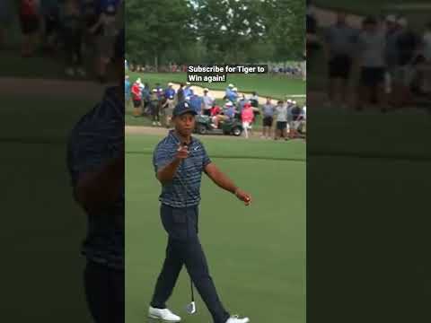 Tiger YELLS at a Cameraman to Back Off! #golf #golfswing #pgatour #pga #tigerwoods #golfer
