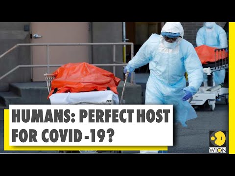Research says, Covid-19 is most adaptable for human body than bats | Coronavirus Pandemic | WION