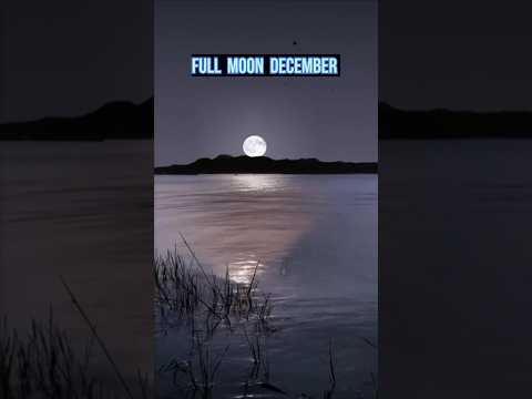 Full Moon Dec 2024 ! Cold Moon ! Purnima Dec 2024 #shorts