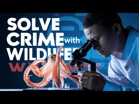 Solving Crimes with Wildlife Forensics is Mind-Blowing and Fascinating