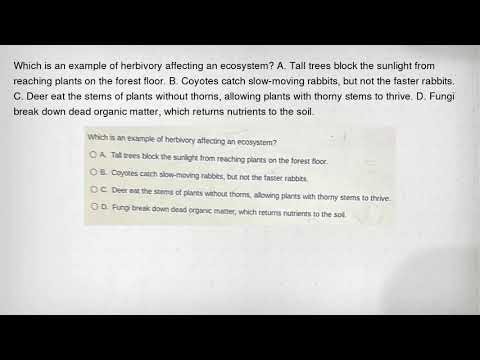 Which is an example of herbivory affecting an ecosystem? A. Tall trees block the sunlight from reach