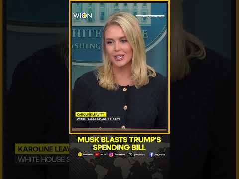 Elon Musk Blasts Trump&#039;s Spending Bill &#039;Disgusting Abomination&#039; | WION Shorts