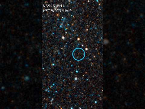 Vanishing Stars: Cosmic Mystery or Black Hole Secret? 👽