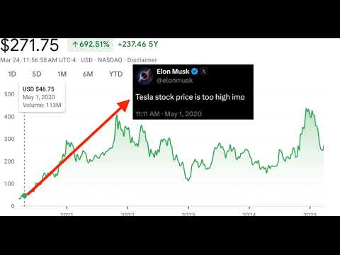 Tesla&#039;s Stock Soars 10% Amid Retail Frenzy and High-Profile Endorsements: What’s Next?