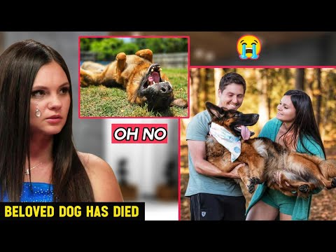 “Tragic Goodbye: Julia &amp; Brandon Break Down After Losing Simba—Their Heart Will Never Be the Same” 😭